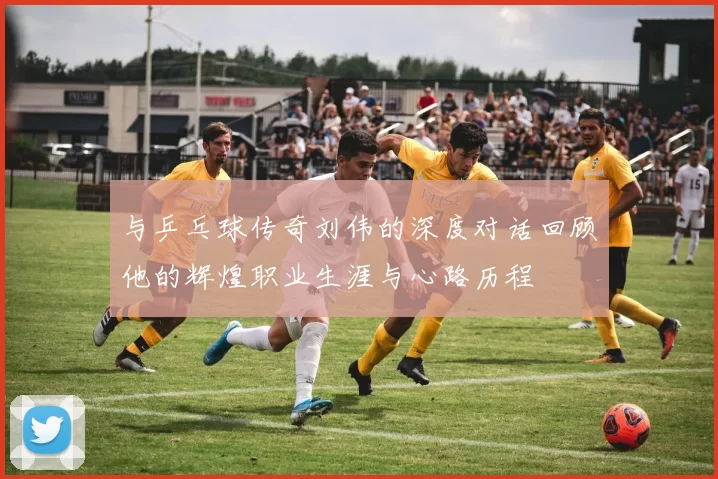 与乒乓球传奇刘伟的深度对话回顾他的辉煌职业生涯与心路历程