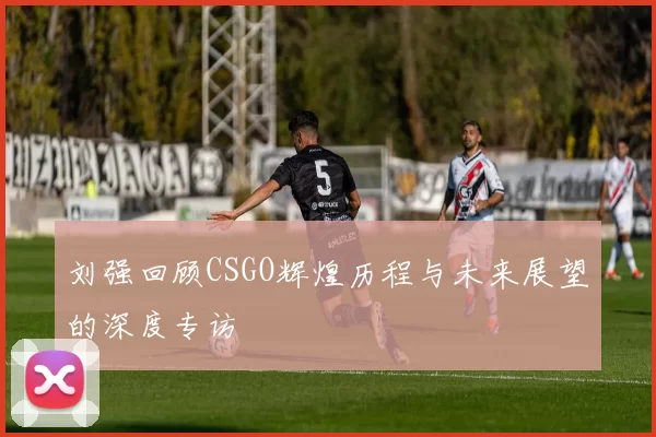 刘强回顾CSGO辉煌历程与未来展望的深度专访