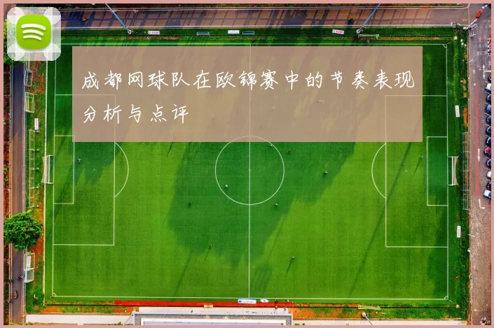 成都网球队在欧锦赛中的节奏表现分析与点评