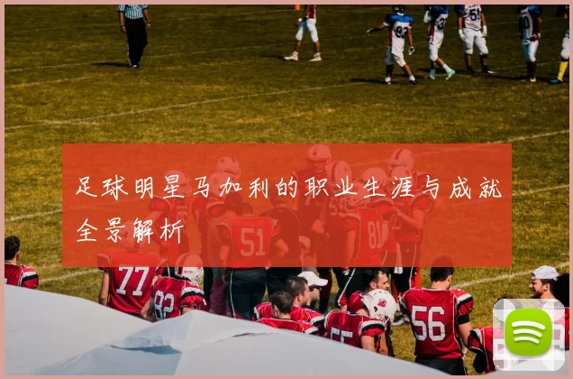 足球明星马加利的职业生涯与成就全景解析