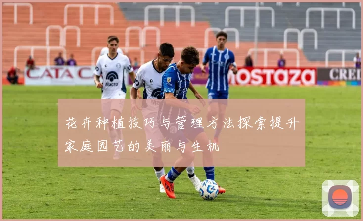 花卉种植技巧与管理方法探索提升家庭园艺的美丽与生机